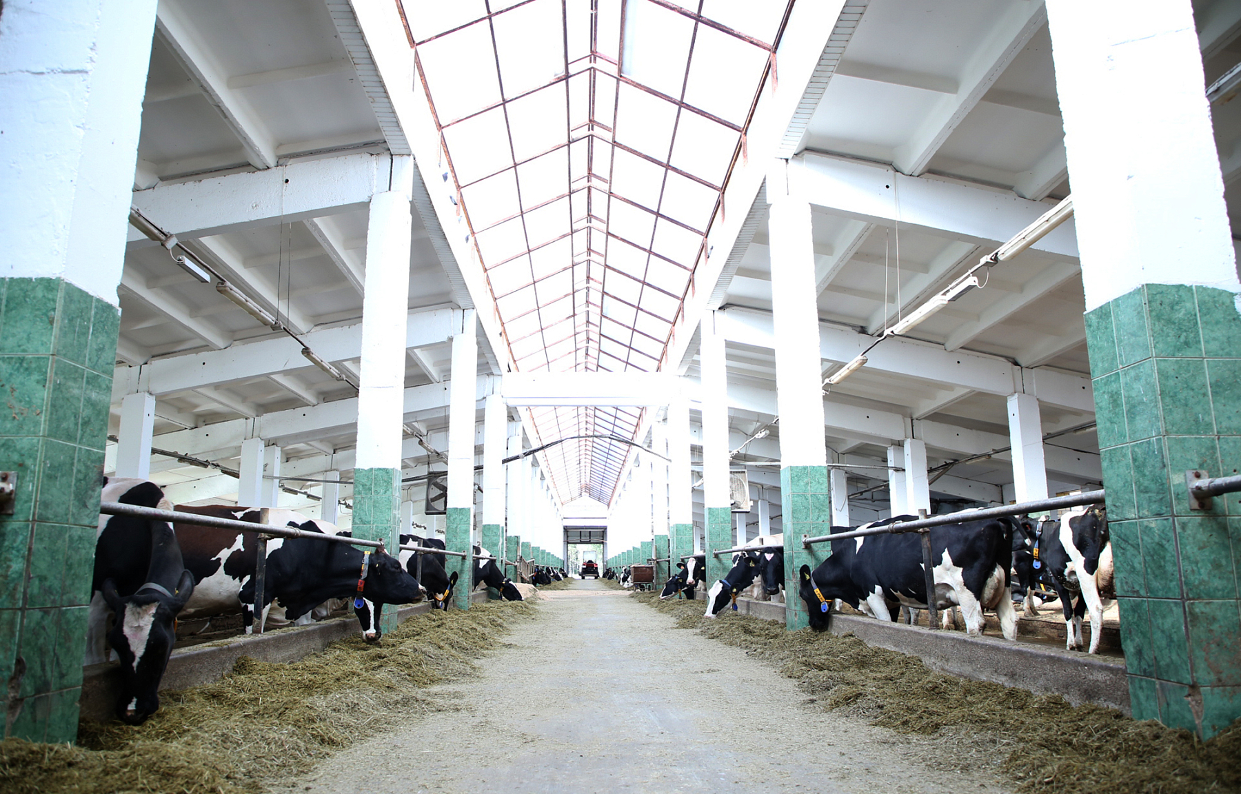 В этом году в Тверской области вырос объем средств, привлеченных аграриями в АПК Верхневолжья