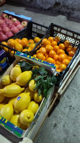 В Твери продолжается мониторинг фитосанитарного состояния продовольственных точек Специалисты Управления провели мониторинг фитосанитарного состояния крупных торговых центров Твери