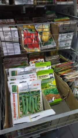 Россельхознадзор обследует торговые точки, где продают семена сельскохозяйственных растений