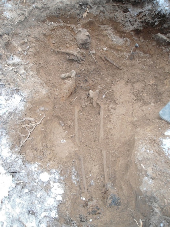 В Андреапольском округе нашли останки советских солдат