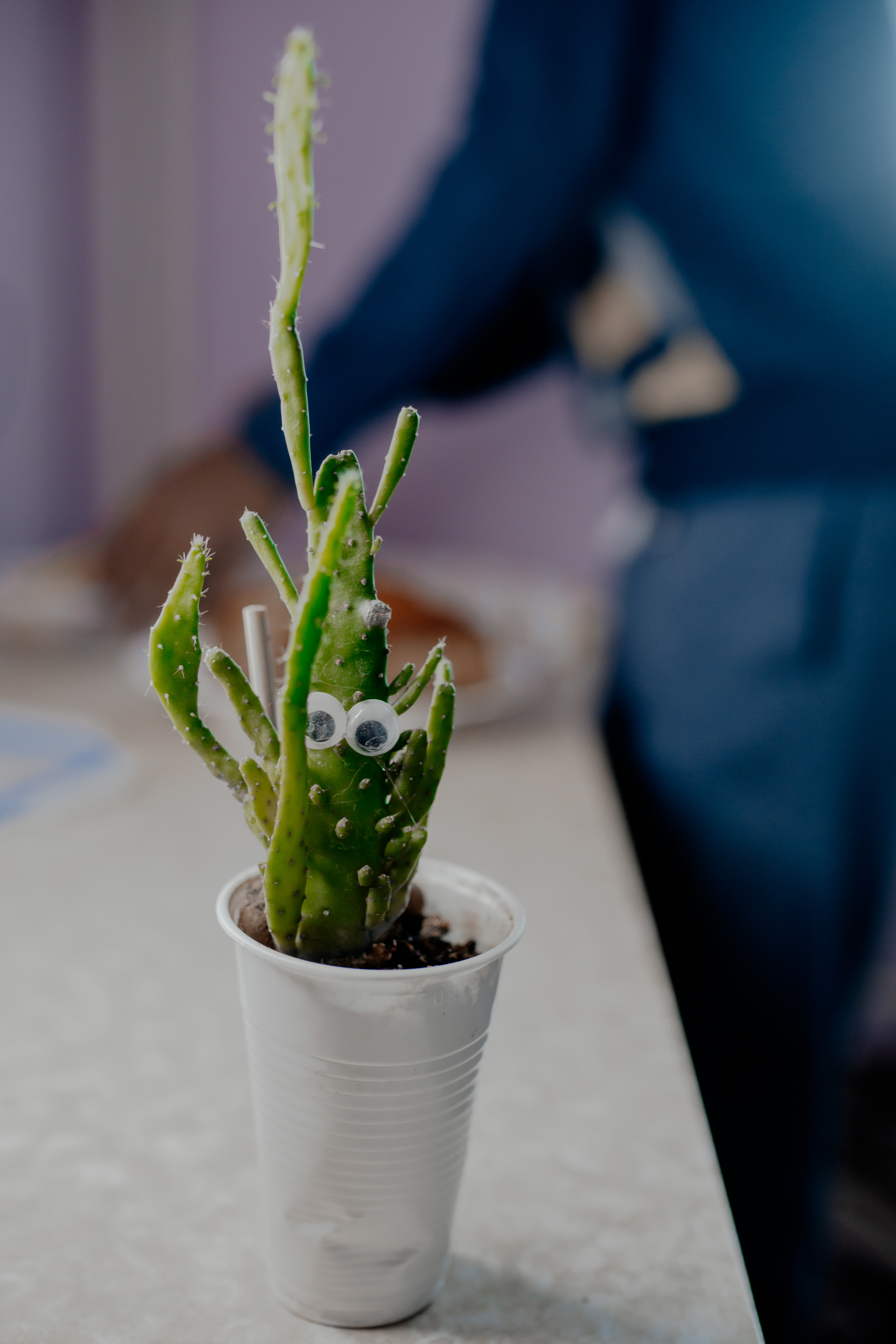 Малагасиец в Твери: Как проходит обычный день иностранного студента