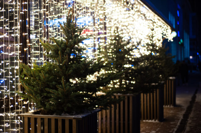 Во вторник погода в Тверской области почти не изменится Во вторник погода в Тверской области почти не изменится