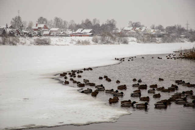 В понедельник в Тверской области похолодает