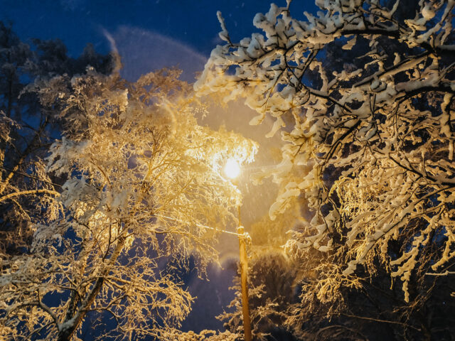 В Тверскую область идут аномальные холода В Тверскую область идут аномальные холода