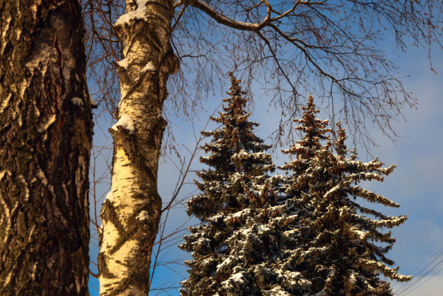 В четверг в Тверской области выглянет солнце В четверг в Тверской области выглянет солнце