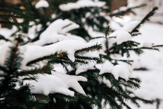 В субботу в Тверской области будет облачно и тепло