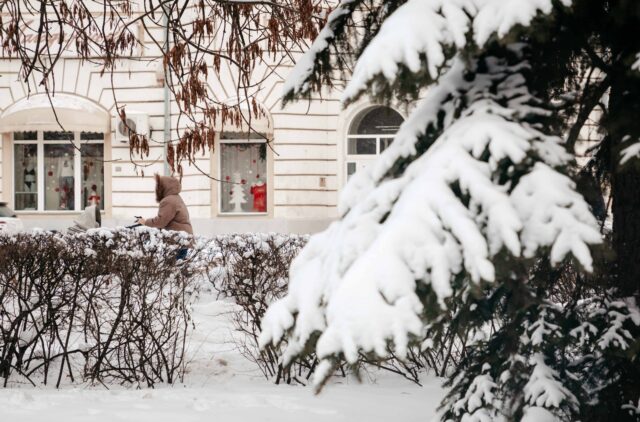 Тверскую область ожидает снежная суббота Тверскую область ожидает снежная суббота