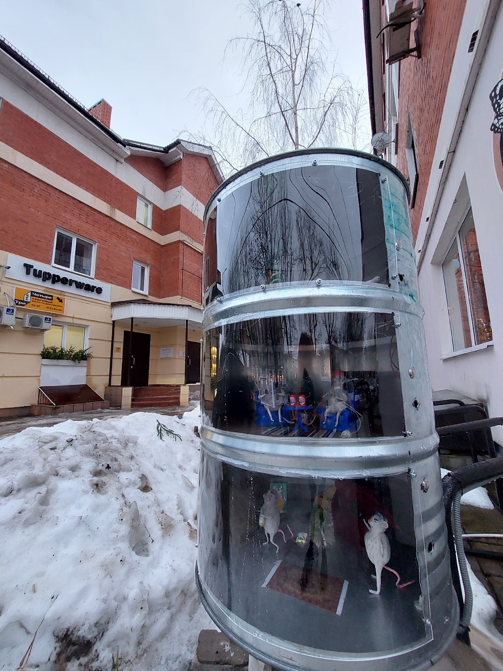 В Твери появился целый мышиный дом В Твери появился целый мышиный дом