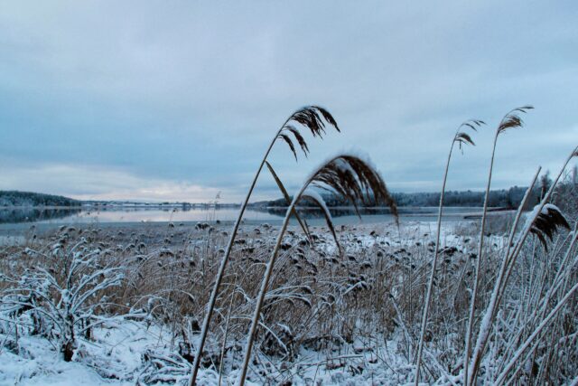 Озеро Селигер вошло в десятку популярных направлений для катания на льду Озеро Селигер вошло в десятку популярных направлений для катания на льду