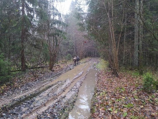 В урочище в Тверской области нашли останки погибших в 1941 году солдат