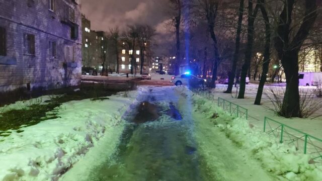 В Твери иномарка сбила пешехода