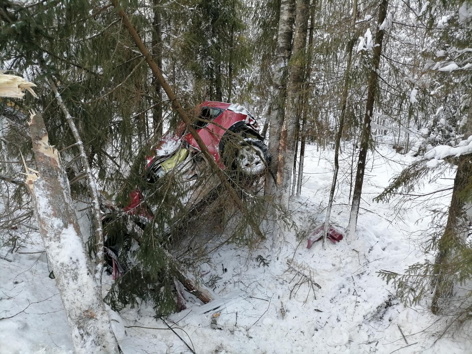В Тверской области водитель не справился с управлением, и машина врезалась в дерево