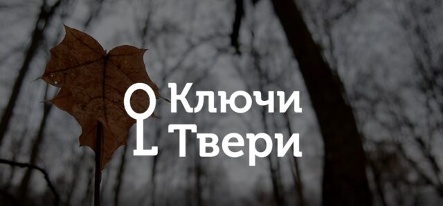 Ключи Твери: какие птицы остаются в городе зимой