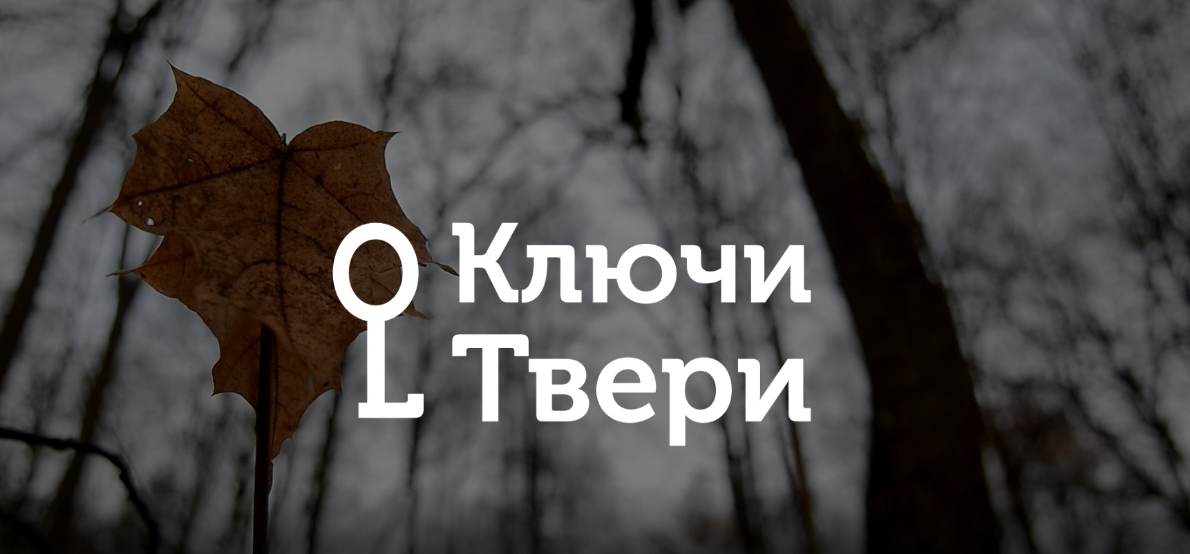 Ключи Твери: какие птицы остаются в городе зимой Ключи Твери: какие птицы остаются в городе зимой