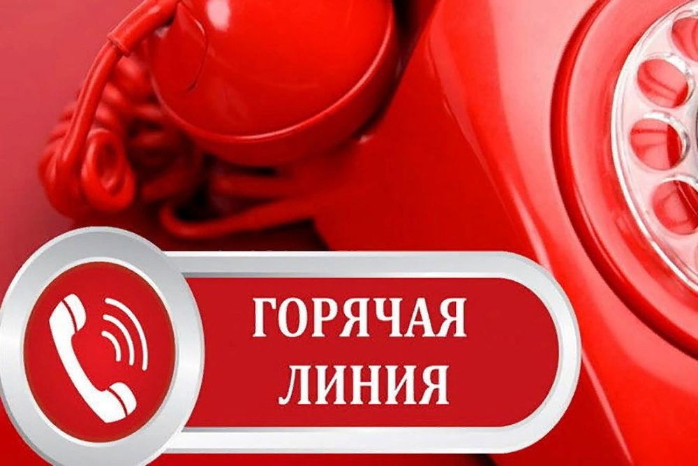 Горячая линия Управления по вопросам земельного законодательства Горячая линия по вопросам в сфере фитосанитарного надзора