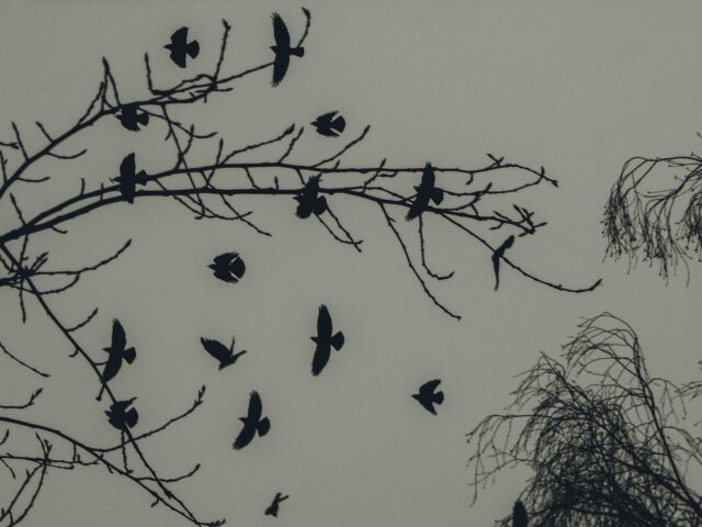 Жителей Тверской области ждет облачный и дождливый вторник Жителей Тверской области ждет облачный и дождливый вторник