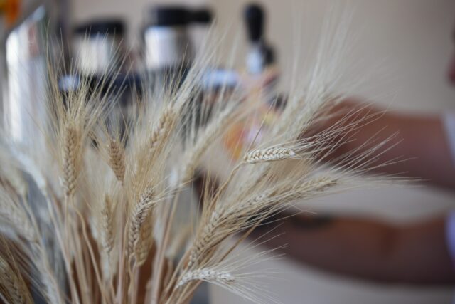 Хозяйства Тверской области готовятся к посевной кампании