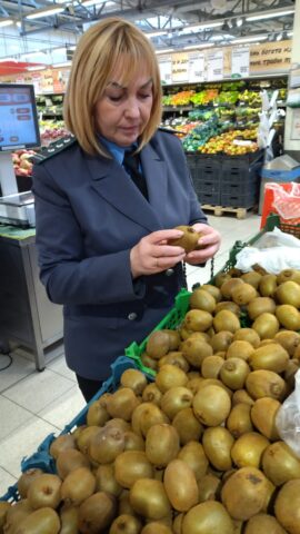 Специалисты Управления провели мониторинг фитосанитарного состояния крупного торгового центра Твери