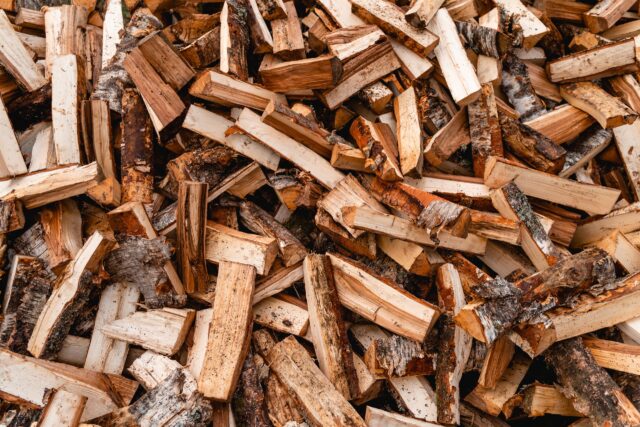 Жителя Твери будут судить за незаконную рубку леса