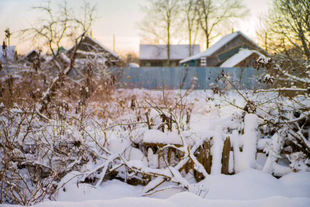 На смену морозам в Тверскую область идет потепление В Тверскую область придет потепление