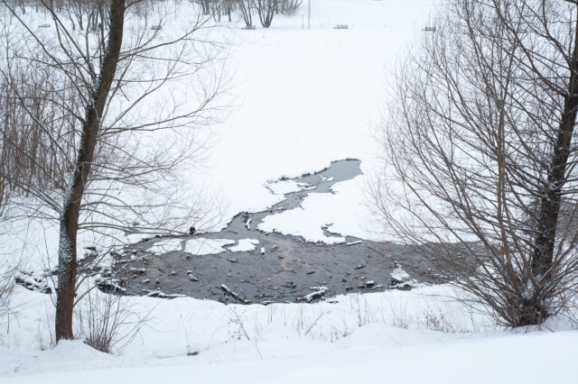В субботу в Тверской области сохранится плюсовая температура В субботу в Тверской области сохранится плюсовая температура