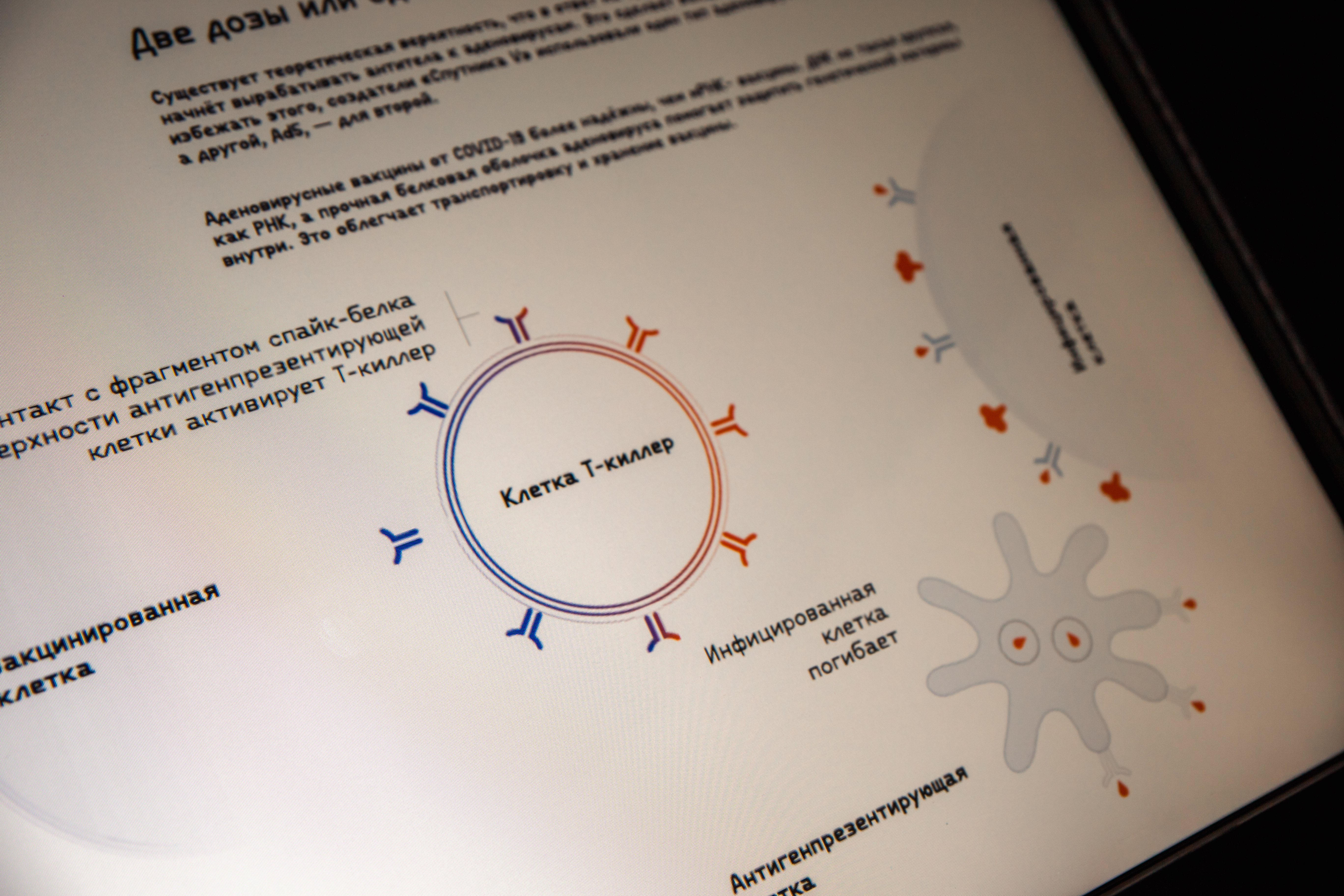 От оспы до коронавируса: В Тверь привезли "вирусную" выставку Политехнического музея