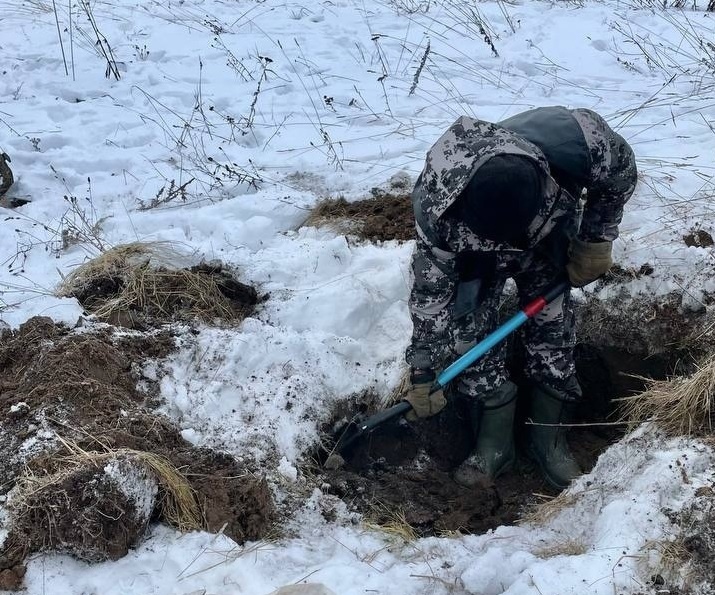 В Ржевском районе поисковики обнаружили останки молодого красноармейца