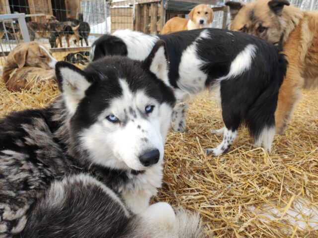 В Тверском областном Дворце культуры "Пролетарка" продет акция "Дари добро" В Тверском областном Дворце культуры "Пролетарка" продет акция "Дари добро"