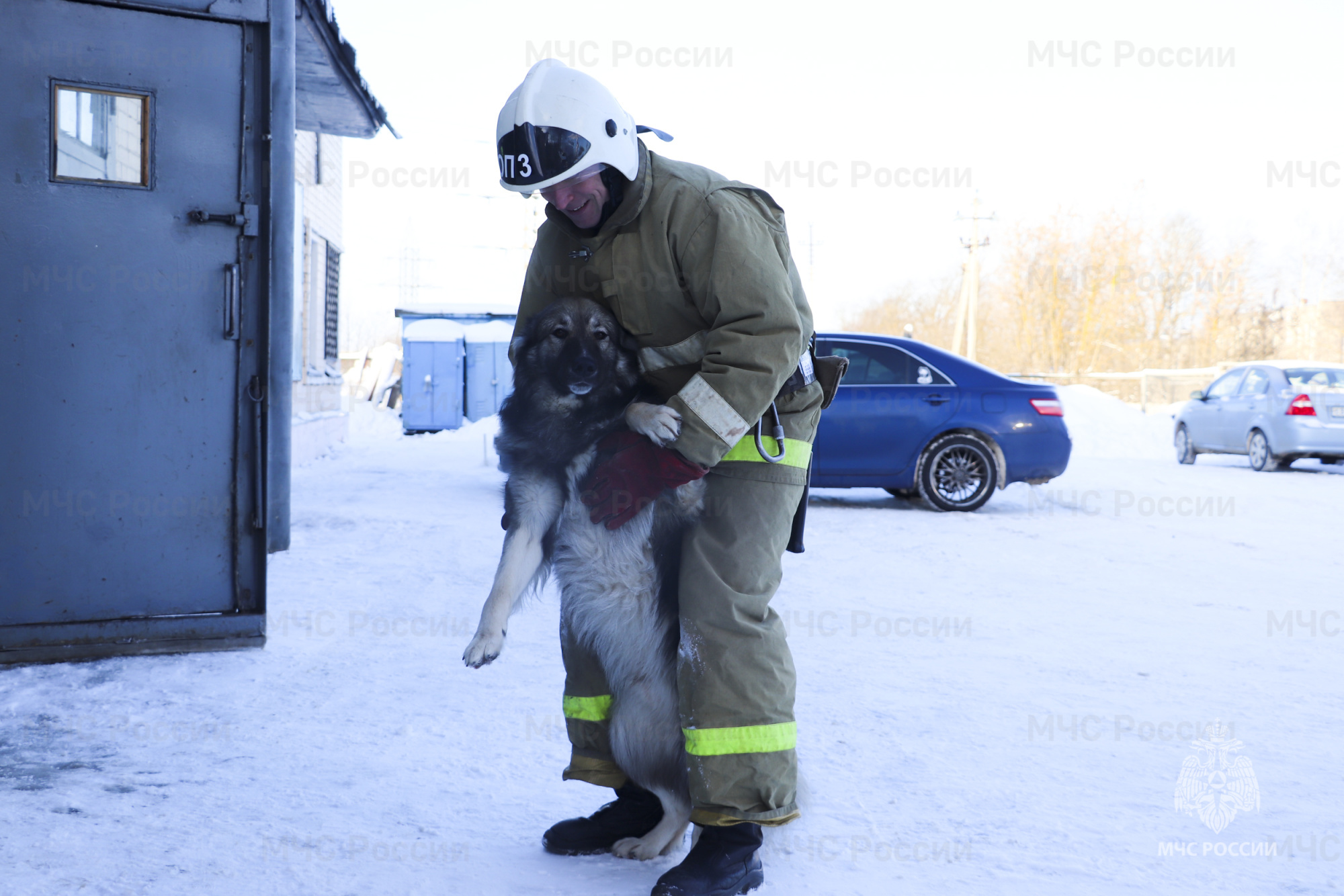 Тверские пожарные рассказали о спасенном псе, который стал им настоящим другом