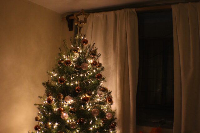 ЭКО РИА: Жителей Тверской области призвали правильно утилизировать ёлки ЭКО РИА: Жителей Тверской области призвали правильно утилизировать ёлки