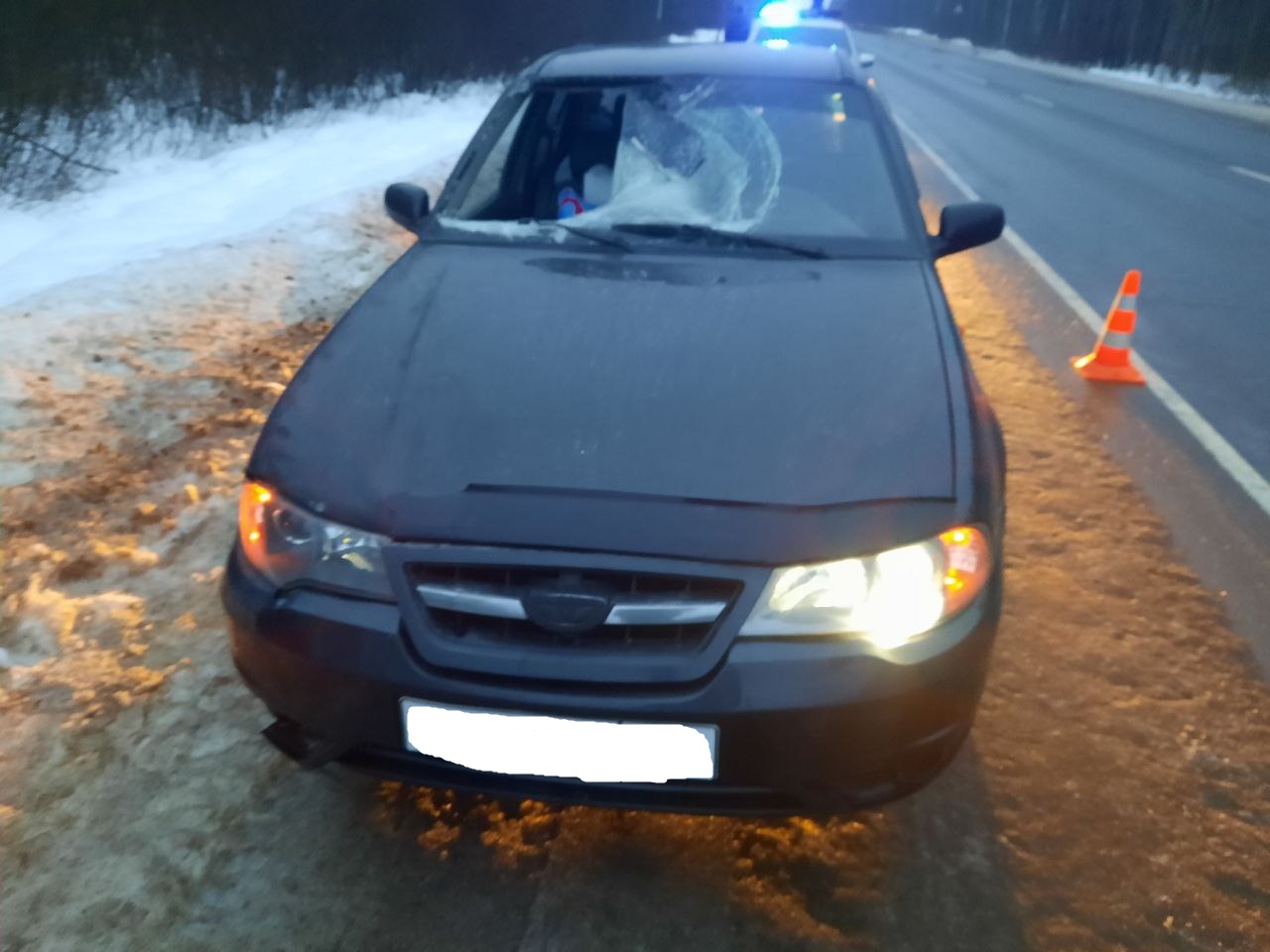 На трассе М-9 в Тверской области иномарка сбила пешехода