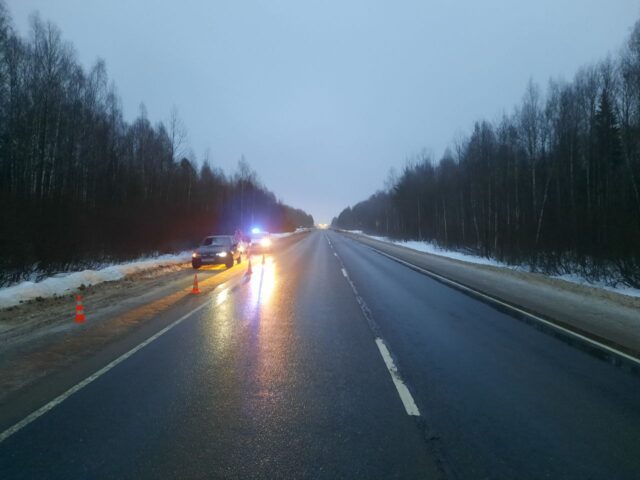 На трассе М-9 в Тверской области иномарка сбила пешехода