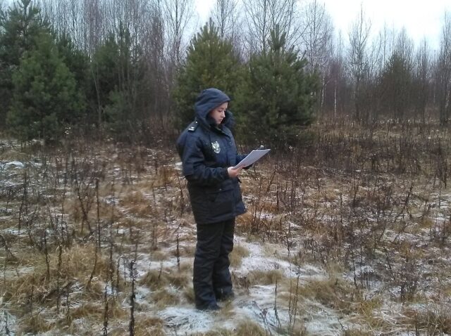 Итоги деятельности Управления в области государственного земельного надзора за 2022 год на территории Тверской области