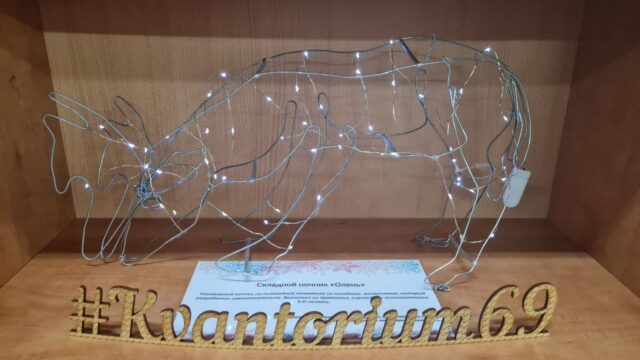 Юные изобретатели Верхневолжья представили свои работы на выставках в Твери