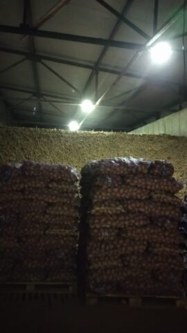 Россельхознадзор проводит профилактические визиты с сельхозтоваропроизводителями региона