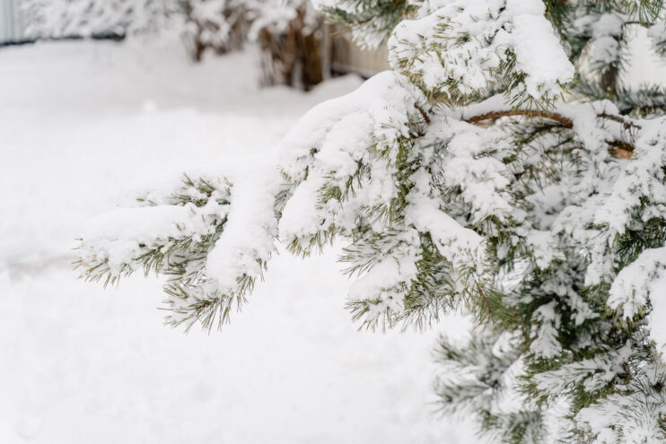 В Тверской области остается снежный циклон
