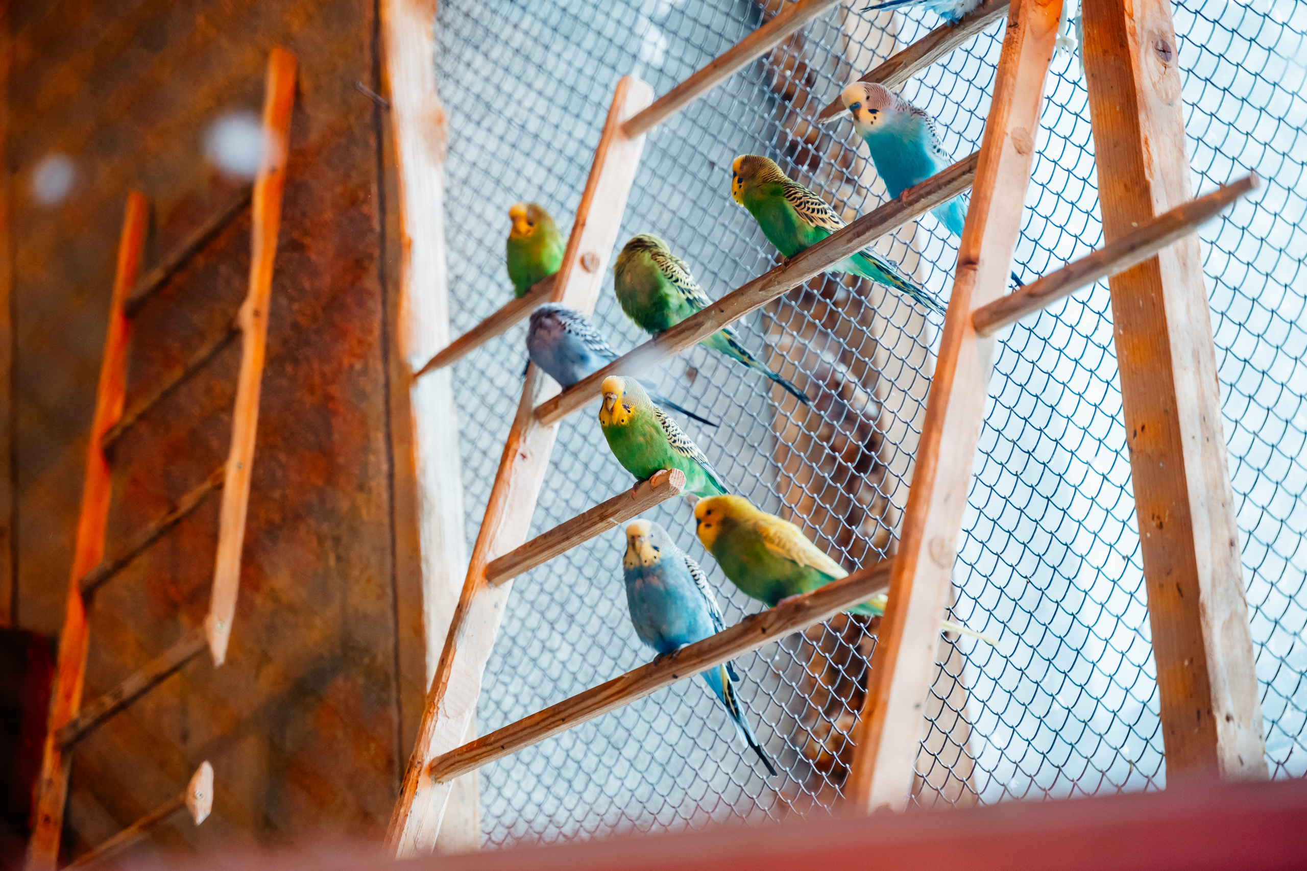 Время перемен: Виталий Салтыков рассказал о планах на Тверской театр кукол