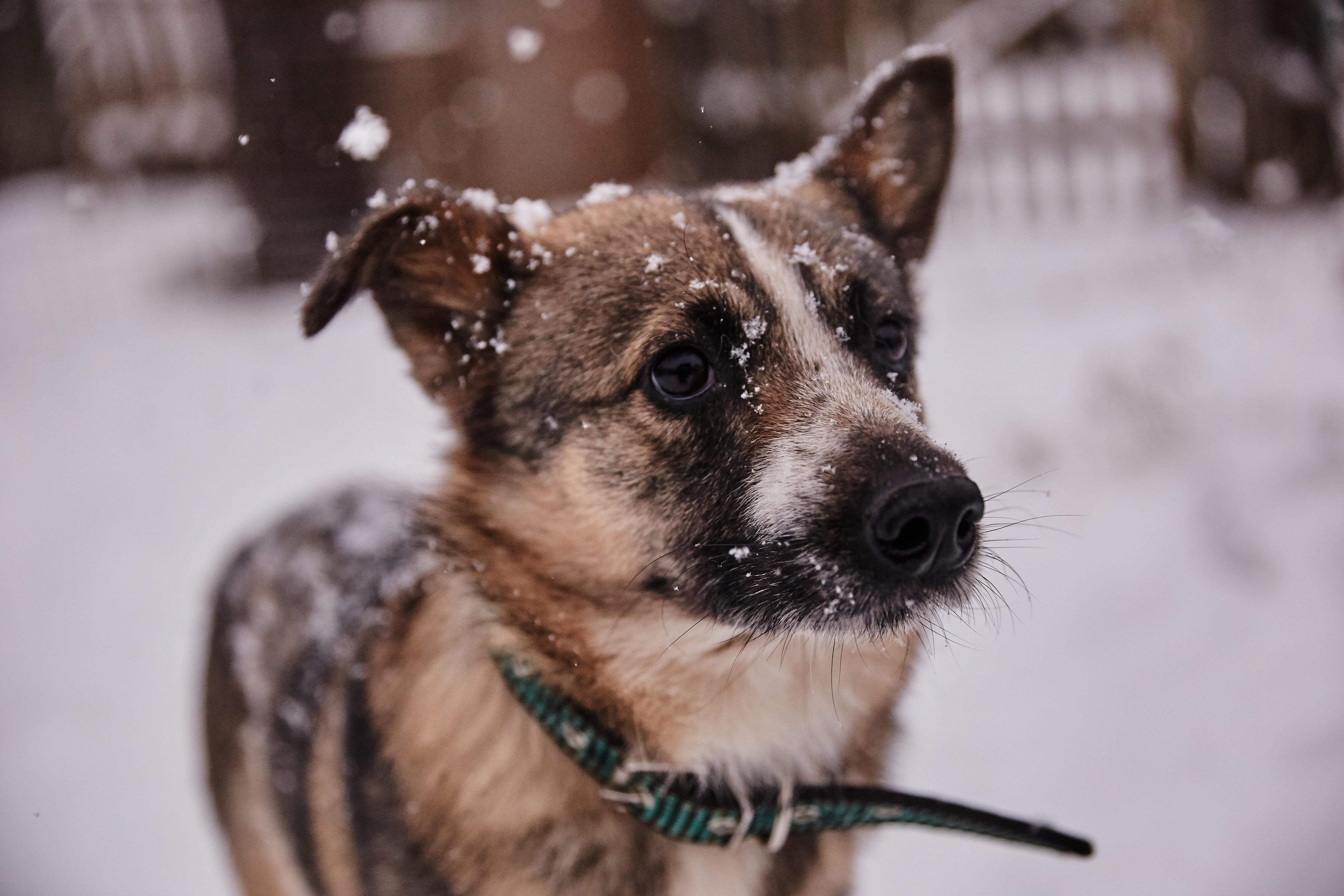 В четверг в Тверской области ожидается похолодание