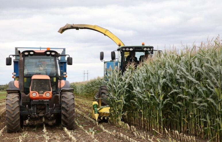 Заместителю гендиректора ЗАО «Калининское» присвоено звание "Заслуженный работник сельского хозяйства РФ"