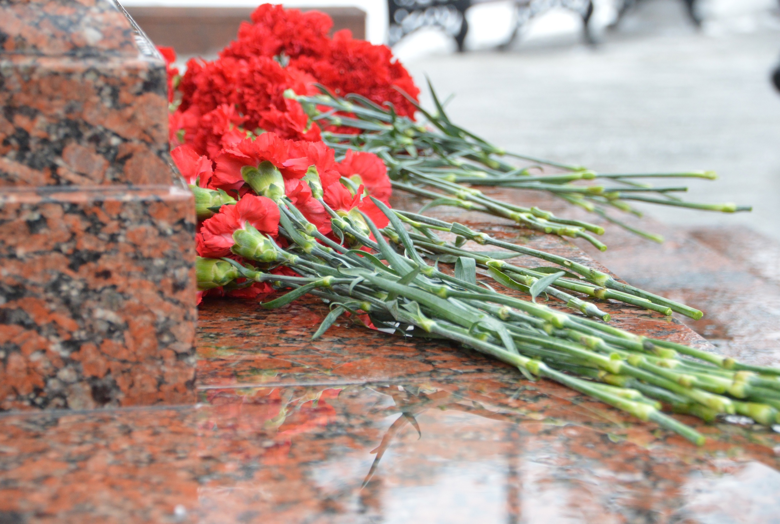 В Торжокском районе простились с погибшим на СВО бойцом