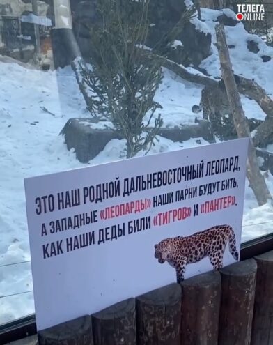 Российские зоопарки оригинально ответили на заявление о поставке танков Leopard ВСУ Российские зоопарки оригинально ответили на заявление о поставке танков Leopard ВСУ