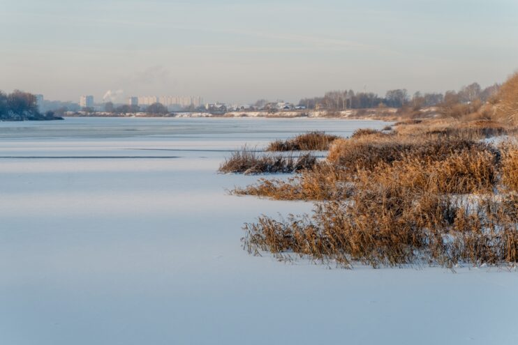 В пятницу в Тверской области выглянет солнце