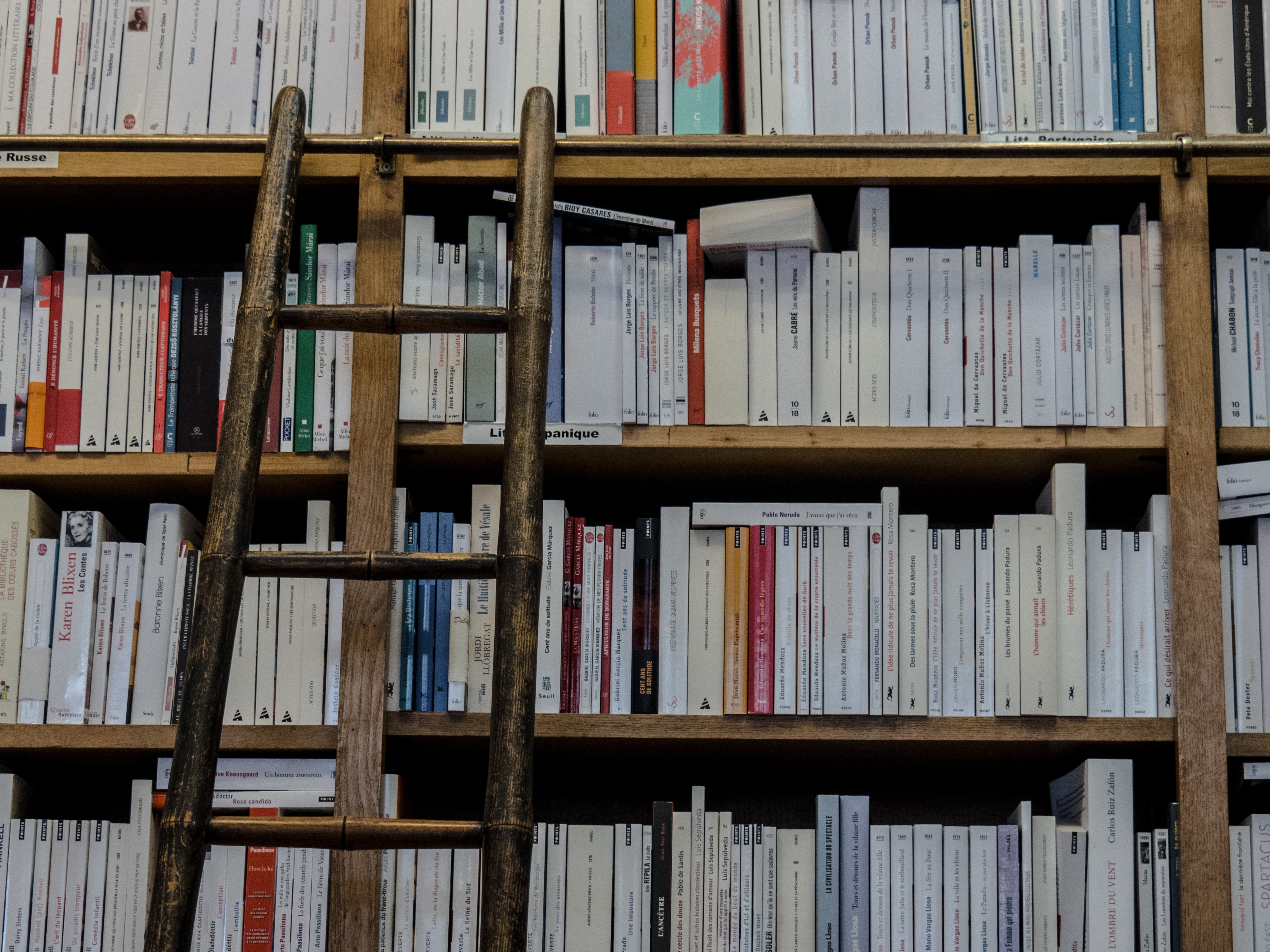 В тверском котокафе пройдет встреча книжного клуба В тверском котокафе пройдет встреча книжного клуба