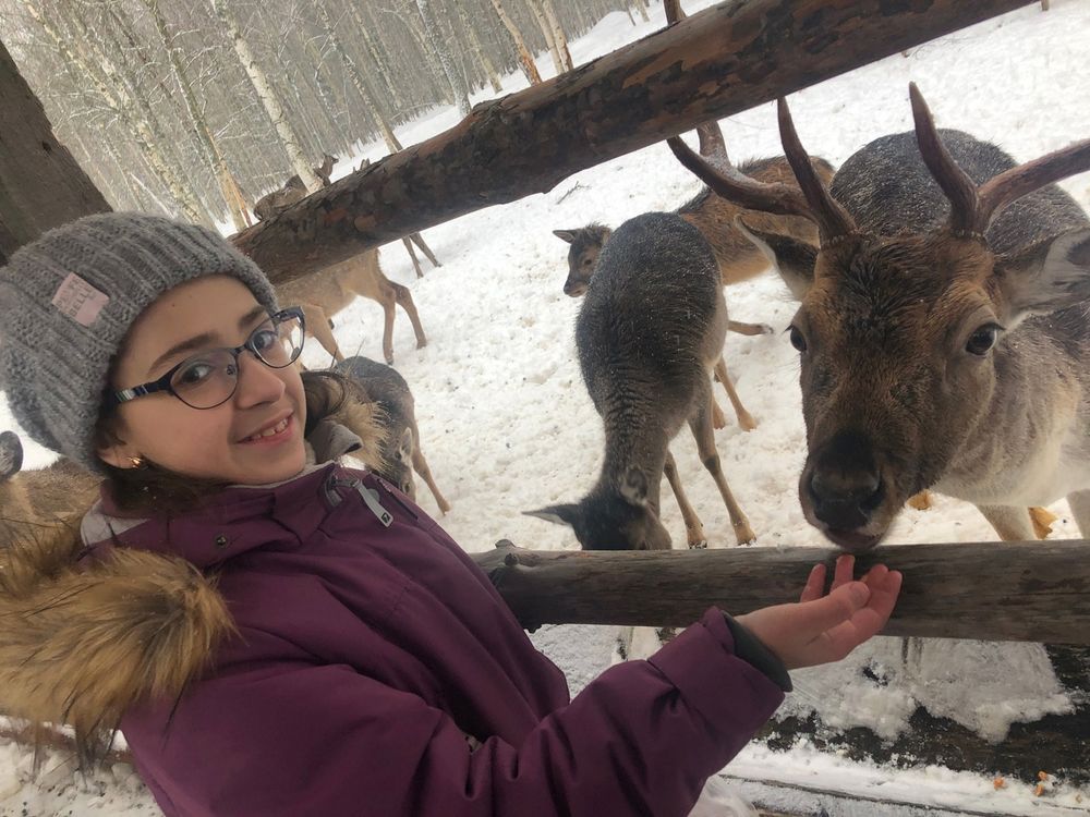 Бологовские школьники узнали, зачем оленям детский сад Бологовские школьники узнали, зачем оленям детский сад