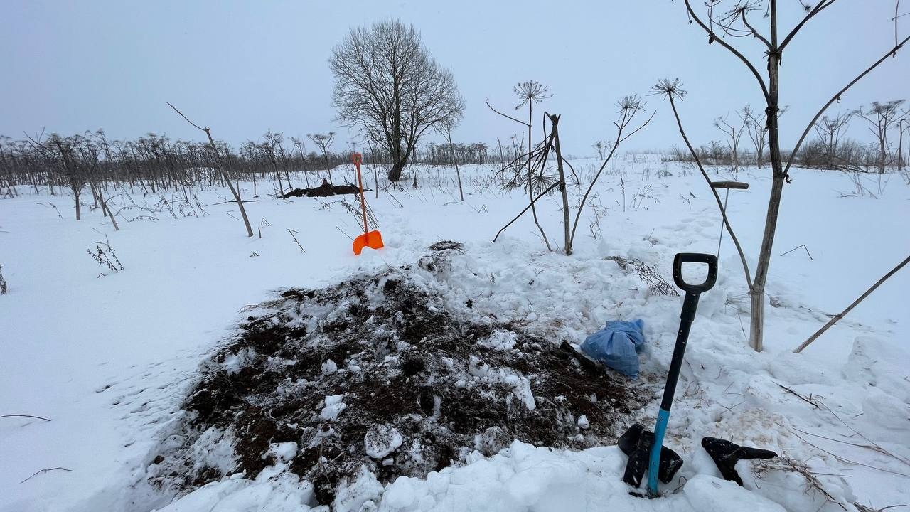 В Ржевском районе Тверской области обнаружили останки двух советских солдат В Ржевском районе Тверской области обнаружили останки двух советских солдат