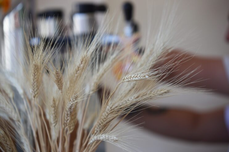 Аграрии Тверской области готовятся к весенним полевым работам Аграрии Тверской области готовятся к весенним полевым работам