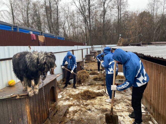 В Твери молодежь продолжает помогать братьям нашим меньшим В Твери молодежь продолжает помогать братьям нашим меньшим
