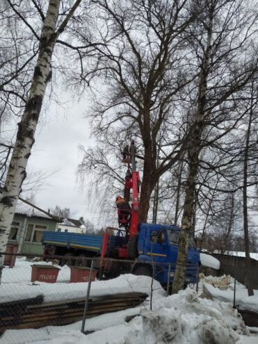 Безопасность детей превыше всего: в Оленино спилили ветхое дерево Безопасность детей превыше всего: в Оленино спилили ветхое дерево