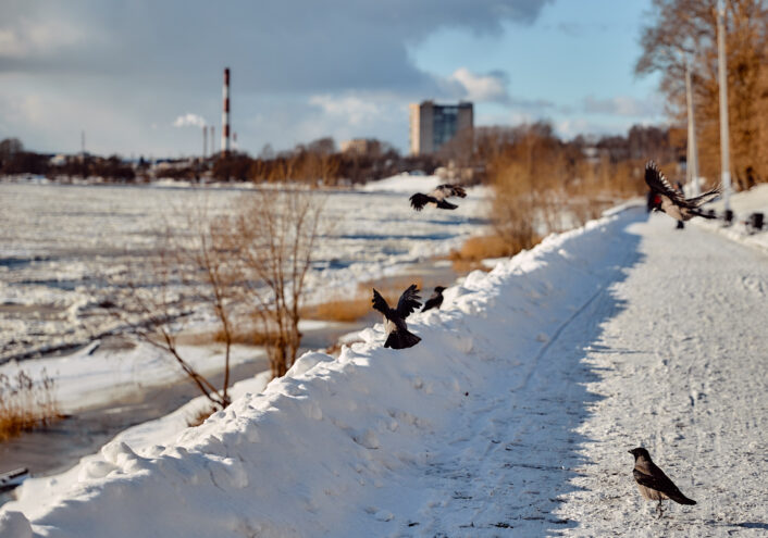 Понедельник в Тверской области будет теплым и солнечным Во вторник в Тверской области сохранится хорошая погода