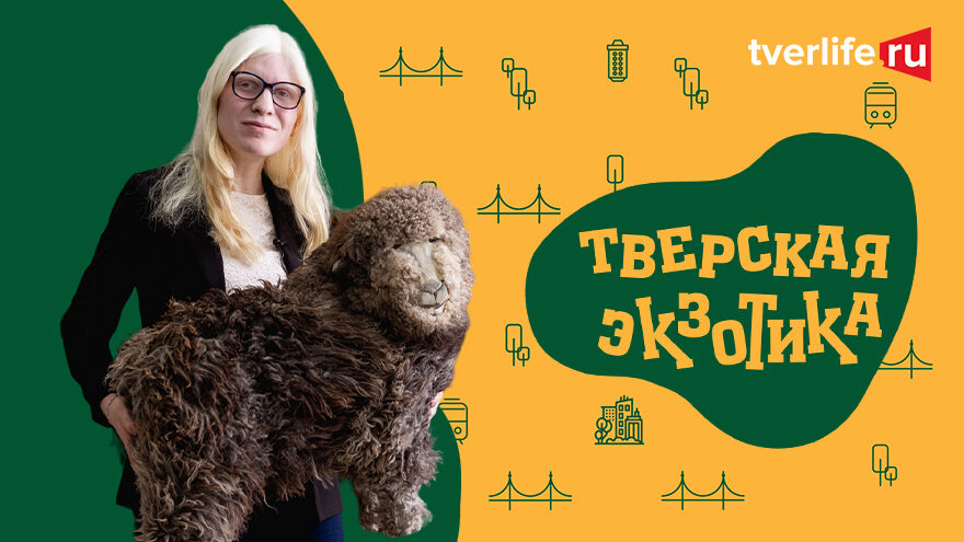 Тверская экзотика: Музей валенка в Вышнем Волочке Тверская экзотика: Музей валенка в Вышнем Волочке